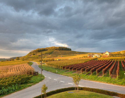 Abendstimmung vom Enselberg mit schweren Wolken