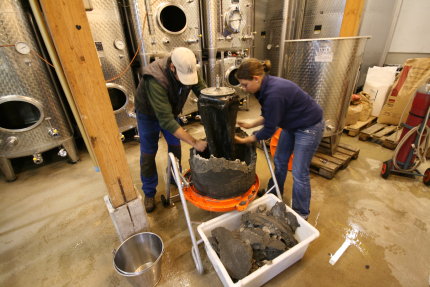 2007 filtering the Trockenbeerenauslese - Filterkuchen