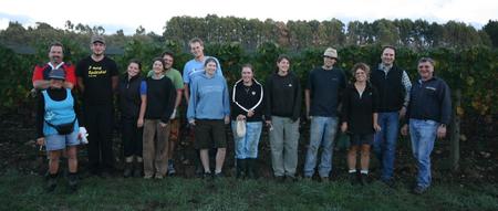 Mitarbeiter bei der Ernte 2008 in Neuseeland