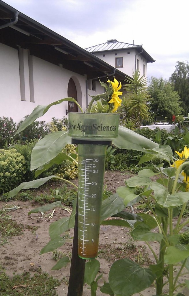 gesamt-niederschlag