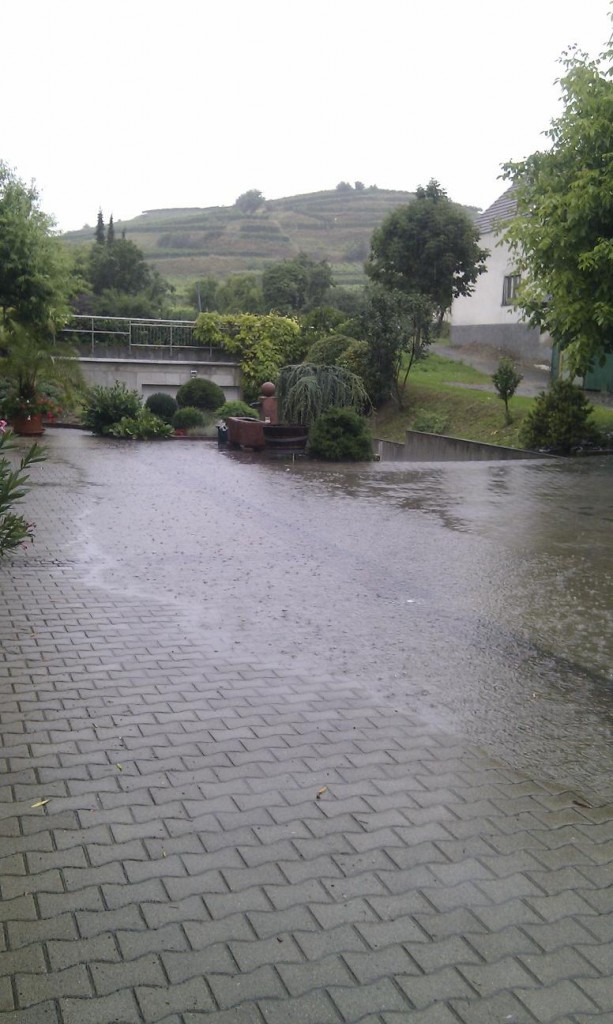 hof-regen